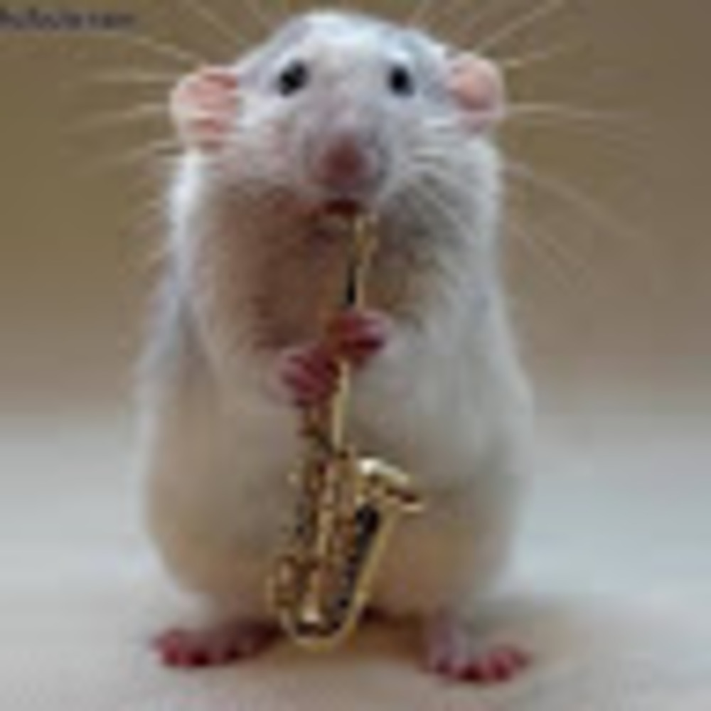 Meet your Posher, Cree